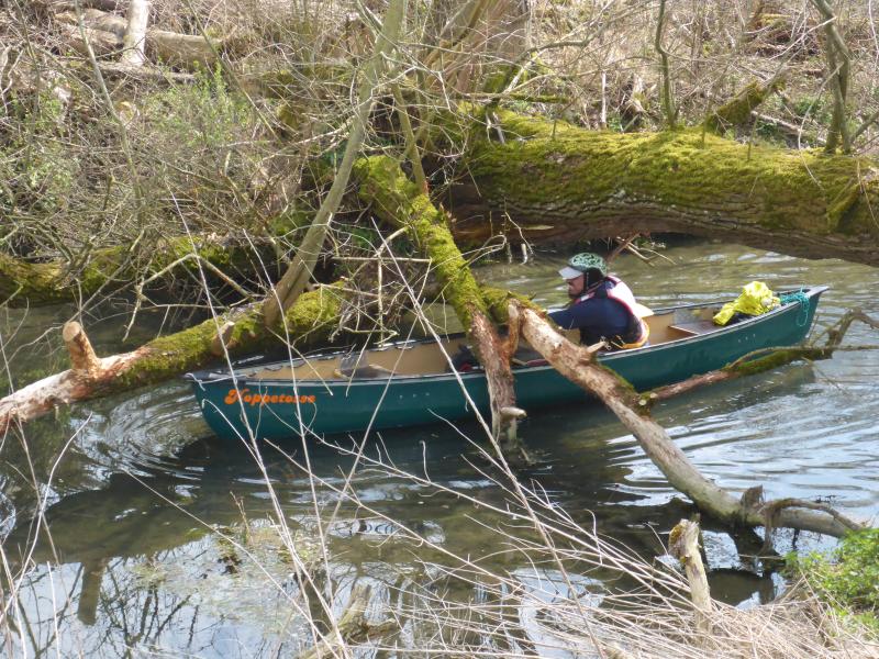 Wo steckt das Kanu? Mitten im Biber-Baum! Foto: Karl Goenner
